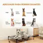 Cama Elevada para Perros Grandes Cama para Perros con Zona de Malla Transpirable y Bolsa 122x92x23 cm Gris Claro Cama Elevada para Perros Grandes Cama para Perros con Zona de Malla Transpirable y Bolsa 122x92x23 cm Gris Claro