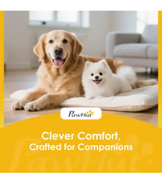 Cama Elevada para Perros Grandes Cama para Perros con Zona de Malla Transpirable y Bolsa 122x92x23 cm Gris Claro