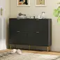 Zapatero Estrecho con 4 Puertas Acanaladas con Estantes Ajustables para 20 Pares 105x24x91,5 cm Negro