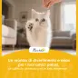 Jaula para gatos de 4 niveles con hamaca, cama, rampas y plataformas en metal con ruedas y bandeja extraíble, Negro Jaula para gatos de 4 niveles con hamaca, cama, rampas y plataformas en metal con ruedas y bandeja extraíble, Negro