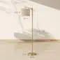 Lámpara de Pie LED Regulable con Temperaturas de Color Ajuste Continuo Control Remoto Temporizador de 60 Minutos Dorado