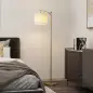 Lámpara de Pie LED Regulable con Temperaturas de Color Ajuste Continuo Control Remoto Temporizador de 60 Minutos Dorado