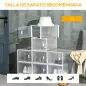 Organizador de Zapatos Modular Estantería Modulable con 8 Cubos Puertas Magnéticas 28x36x21 cm Transparente