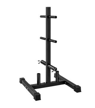Soporte para Discos de Pesas Carga 300 kg para Discos de 25 mm y 50 mm con 2 Estantes de Barra para Gimnasio Casa Negro