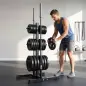 Soporte para Discos de Pesas Carga 300 kg para Discos de 25 mm y 50 mm con 2 Estantes de Barra para Gimnasio Casa Negro