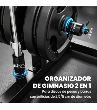 Soporte para Discos de Pesas Carga 300 kg para Discos de 25 mm y 50 mm con 2 Estantes de Barra para Gimnasio Casa Negro