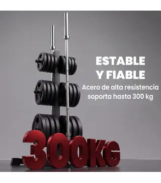 Soporte para Discos de Pesas Carga 300 kg para Discos de 25 mm y 50 mm con 2 Estantes de Barra para Gimnasio Casa Negro