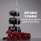 Soporte para Discos de Pesas Carga 300 kg para Discos de 25 mm y 50 mm con 2 Estantes de Barra para Gimnasio Casa Negro Soporte para Discos de Pesas Carga 300 kg para Discos de 25 mm y 50 mm con 2 Estantes de Barra para Gimnasio Casa Negro