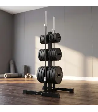 Soporte para Discos de Pesas Carga 300 kg para Discos de 25 mm y 50 mm con 2 Estantes de Barra para Gimnasio Casa Negro