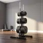 Soporte para Discos de Pesas Carga 300 kg para Discos de 25 mm y 50 mm con 2 Estantes de Barra para Gimnasio Casa Negro Soporte para Discos de Pesas Carga 300 kg para Discos de 25 mm y 50 mm con 2 Estantes de Barra para Gimnasio Casa Negro