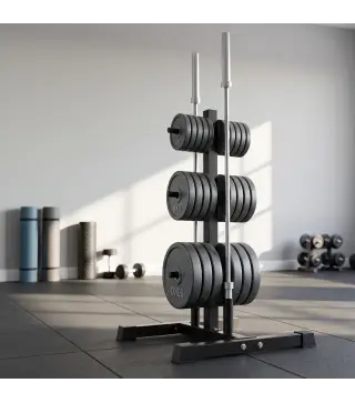 Soporte para Discos de Pesas Carga 300 kg para Discos de 25 mm y 50 mm con 2 Estantes de Barra para Gimnasio Casa Negro