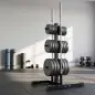 Soporte para Discos de Pesas Carga 300 kg para Discos de 25 mm y 50 mm con 2 Estantes de Barra para Gimnasio Casa Negro Soporte para Discos de Pesas Carga 300 kg para Discos de 25 mm y 50 mm con 2 Estantes de Barra para Gimnasio Casa Negro