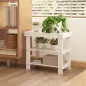 Banco Zapatero de Bambú con Asiento y 2 Estantes para 4 Pares para Entrada Salón Dormitorio 50x28x45 cm Blanco Banco Zapatero de Bambú con Asiento y 2 Estantes para 4 Pares para Entrada Salón Dormitorio 50x28x45 cm Blanco