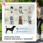 Cochecito para Mascotas Cochecito para Mascotas