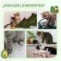 Árbol Rascador para Gatos con Cama en Forma de Aguacate Plataforma Postes de Sisal y Bola Colgante Ø44x83cm Verde