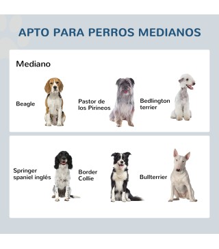 Comedero para Perros