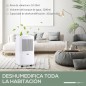 Deshumidificador