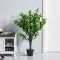 Planta Artificial Planta Artificial