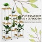 Soporte para Plantas