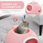 Arenero para Gatos Arenero para Gatos