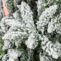 Árbol de Navidad Árbol de Navidad