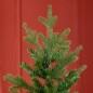 Árbol de Navidad Árbol de Navidad