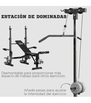 Banco de Musculación
