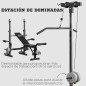 Banco de Musculación