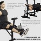 Banco de Musculación