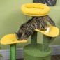 Árbol para Gatos Árbol para Gatos
