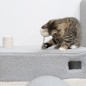 Túnel para Gatos Túnel para Gatos