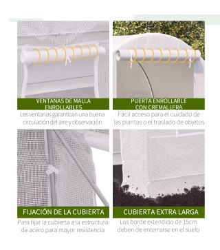 Invernadero de Túnel