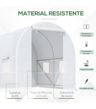 Invernadero de Túnel