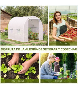 Invernadero de Túnel