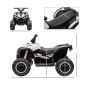 Quad Eléctrico para Niños de 3-5 Años Vehículo Eléctrico a Batería 12V con 2 Motores 83x53x55,5 cm Negro y Blanco
