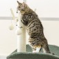 Árbol para Gatos