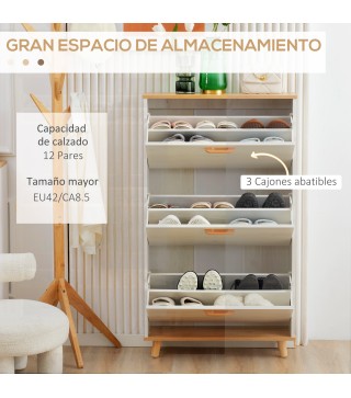 Armario de Zapatos