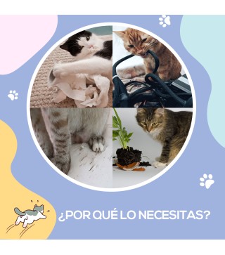 Túnel para Gatos
