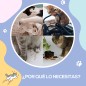 Túnel para Gatos Túnel para Gatos