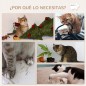 Juego de Escalada para Gatos de 3 Piezas Set de Pared con Estantes Cama Hamaca y Poste de Sisal Color Roble