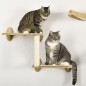 Juego de Escalada para Gatos de 3 Piezas Set de Pared con Estantes Cama Hamaca y Poste de Sisal Color Roble