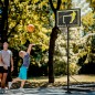 Canasta de Baloncesto Canasta de Baloncesto
