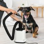 Secador para Mascotas Secador para Mascotas