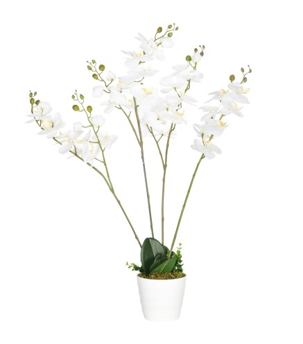 Planta Artificial