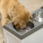 Comedero para Perros Comedero para Perros