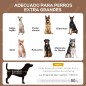 Cama para Perros Cama para Perros