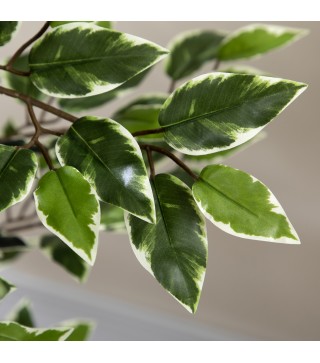 Planta Artificial