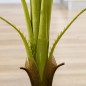 Planta Artificial Planta Artificial