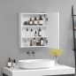 Armario de Baño con Espejo y Luz LED con 2 Estantes e Interruptor Táctil para Dormitorio Aseo 50x15x60 cm Blanco