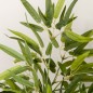 Planta Artificial Planta Artificial